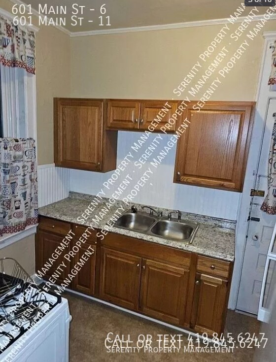 601 Main St-Unit -11 in Toledo, OH - Building Photo - Building Photo