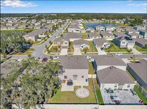 10520 Strawberry Tetra Dr in Riverview, FL - Building Photo - Building Photo