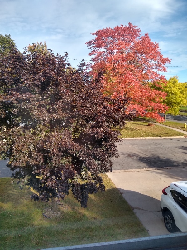 2124 Vermont Ave in Stevens Point, WI - Building Photo - Building Photo