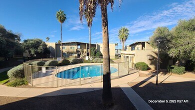 2525 N Alvernon Way in Tucson, AZ - Building Photo - Building Photo
