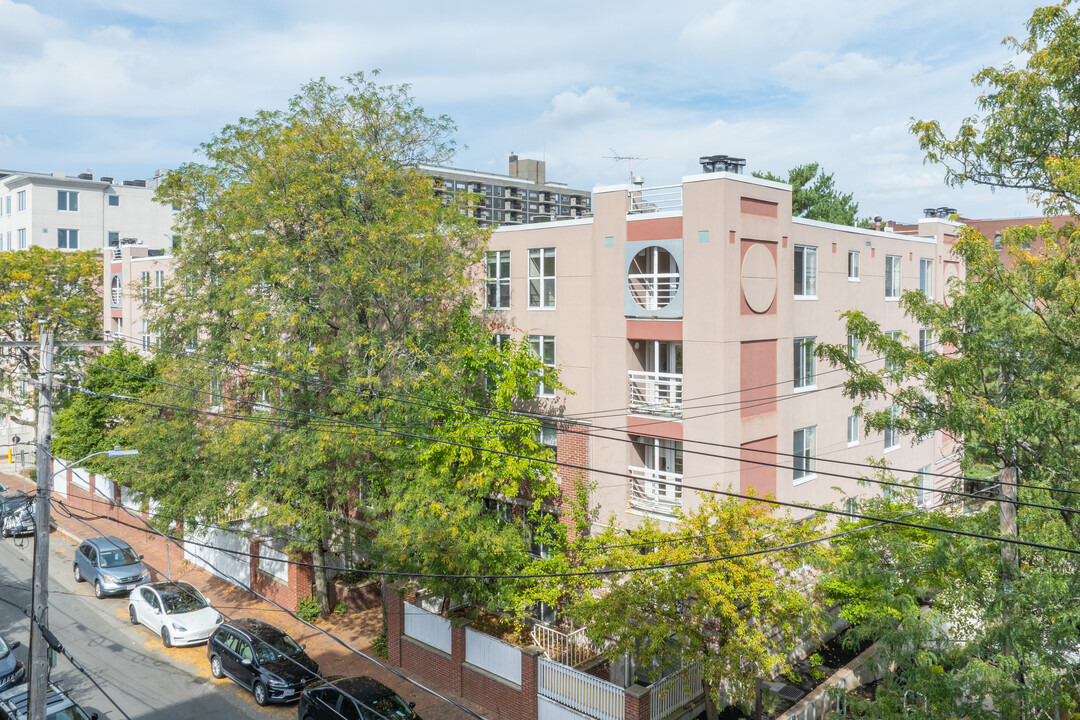 Davenport Apartments in Cambridge, MA - Building Photo