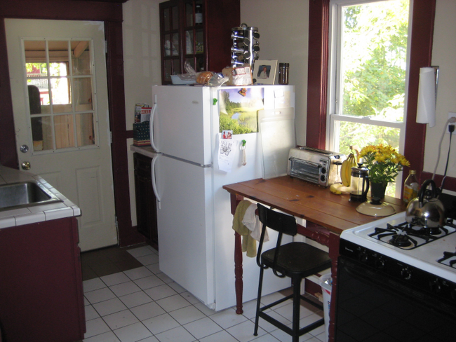 119 Paddock Ave SE in Grand Rapids, MI - Building Photo - Building Photo