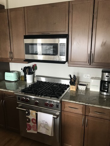 525 Kedzie St-Unit -301 in Evanston, IL - Building Photo - Building Photo