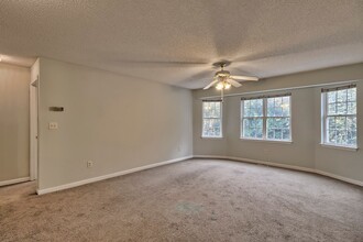 4 bed/4 bath Off-Campus Apartments in Clemson, SC - Building Photo - Interior Photo