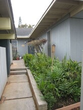 95-537-537 Wehewehe Loop in Mililani, HI - Building Photo - Building Photo