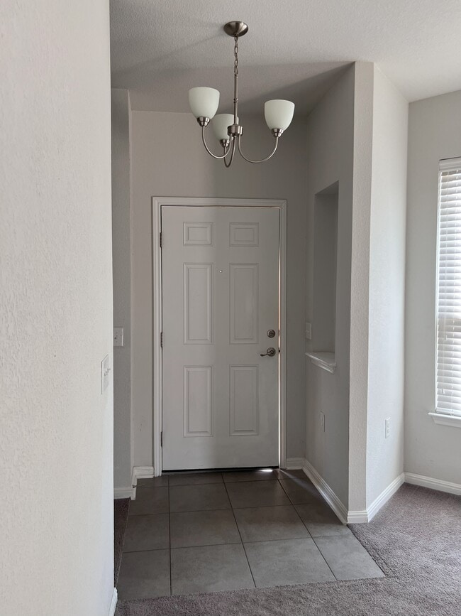 917 Durness Dr in Pflugerville, TX - Foto de edificio - Building Photo