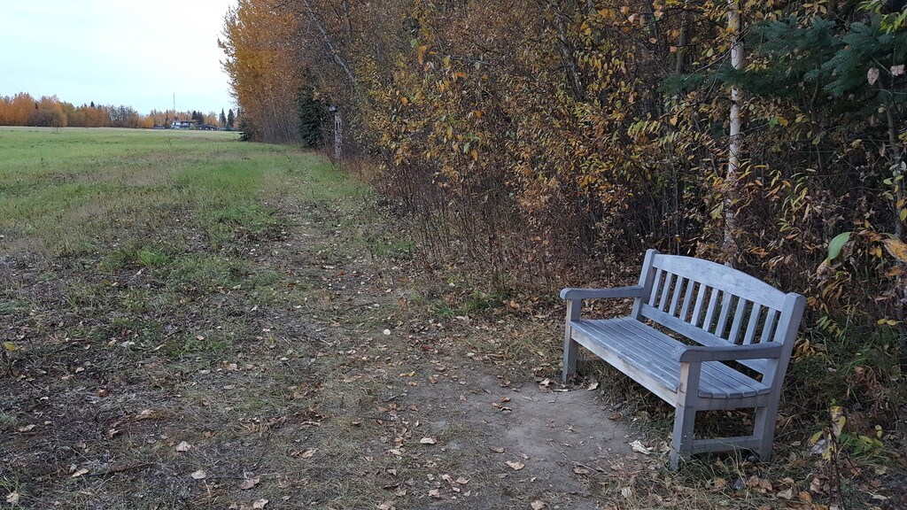 Willow Woods Apartments in Fairbanks, AK