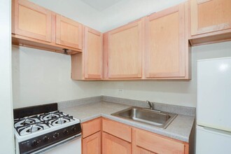 1167 N Dearborn St in Chicago, IL - Building Photo - Building Photo