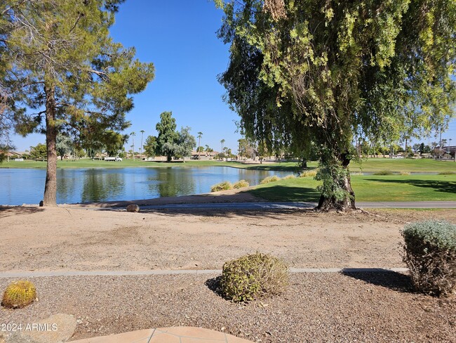 25111 S Golfview Dr in Sun Lakes, AZ - Foto de edificio - Building Photo