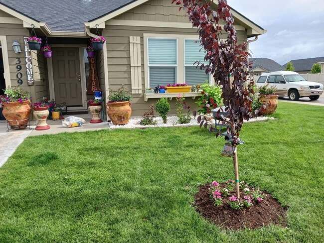 3909 Bobwhite St in Caldwell, ID - Building Photo - Building Photo