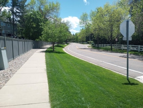 7106 E Briarwood Dr in Centennial, CO - Building Photo - Building Photo