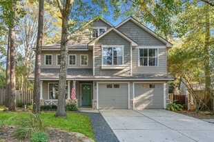 59 E Autumn Branch Cir in Spring, TX - Building Photo