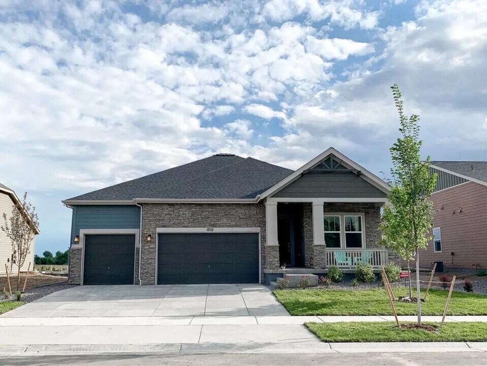 1932 Marfell St in Erie, CO - Building Photo