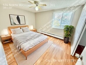 534 N Washington St in Denver, CO - Building Photo - Building Photo