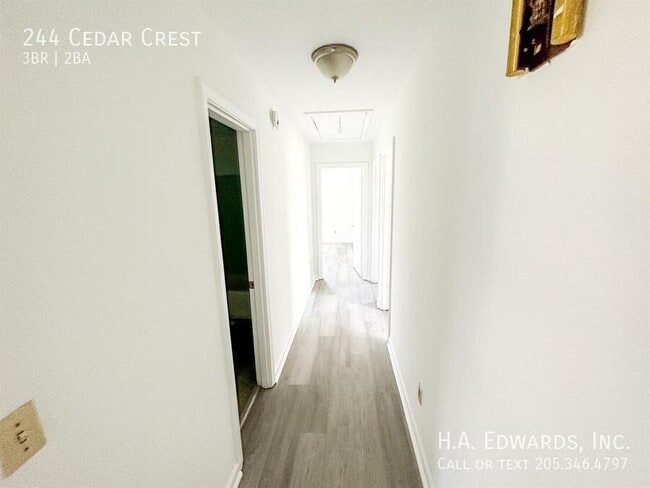 244 Cedar Crest in Tuscaloosa, AL - Building Photo - Building Photo