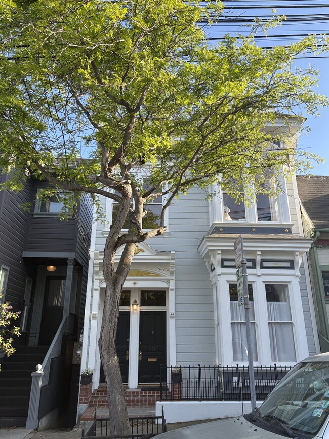 property at 557 Elizabeth St