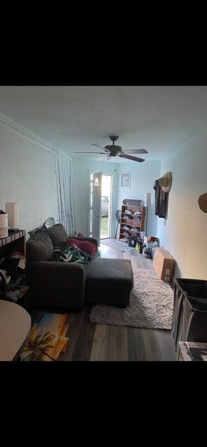 213 Congress Ave in Daytona Beach, FL - Building Photo