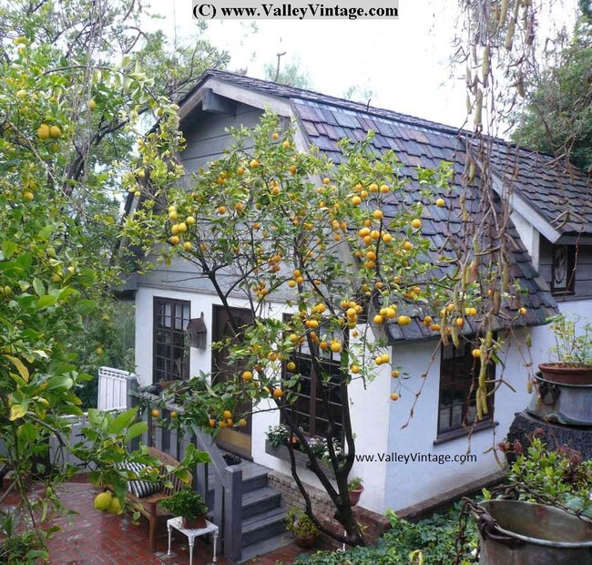 property at 16714 Oak View Dr