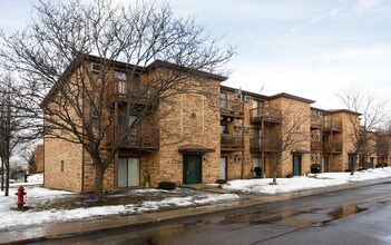 1300 N Geneva Dr in Palatine, IL - Building Photo - Building Photo