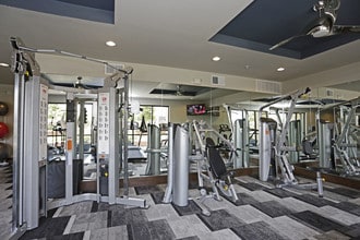 The Armstrong at Knox in Dallas, TX - Foto de edificio - Interior Photo