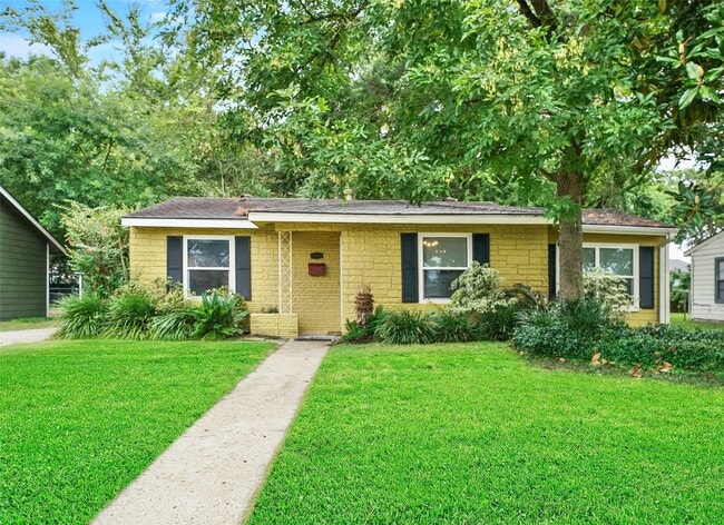 4303 Piney Woods Dr