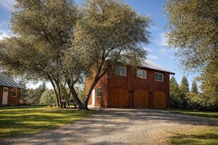 20250 Vineyard Ln in Fiddletown, CA - Building Photo