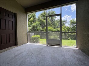 2427 Willimette Dr in Wesley Chapel, FL - Building Photo - Building Photo