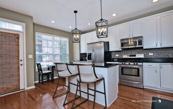 372 W Wood St in Palatine, IL - Building Photo - Building Photo