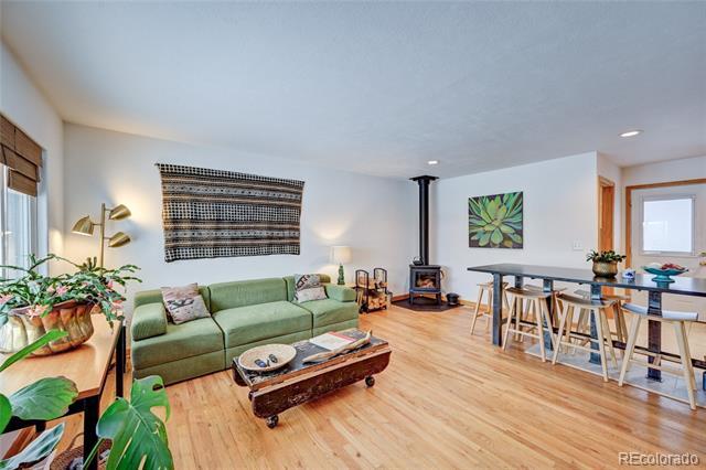 502 Park Ln in Buena Vista, CO - Building Photo - Building Photo