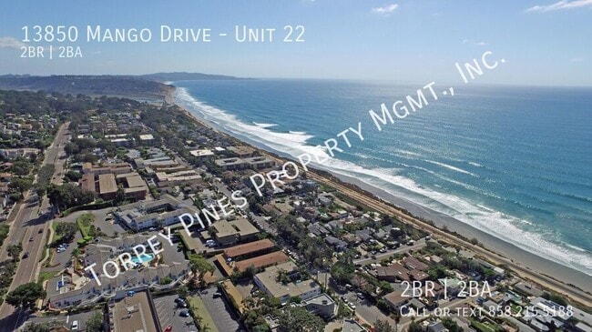 13850 Mango Dr in Del Mar, CA - Building Photo - Building Photo