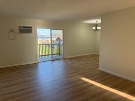 106 S 3rd Ave in Mendota, IL - Building Photo