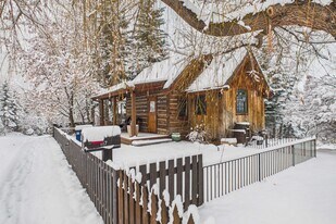 117 Neale Ave in Aspen, CO - Building Photo