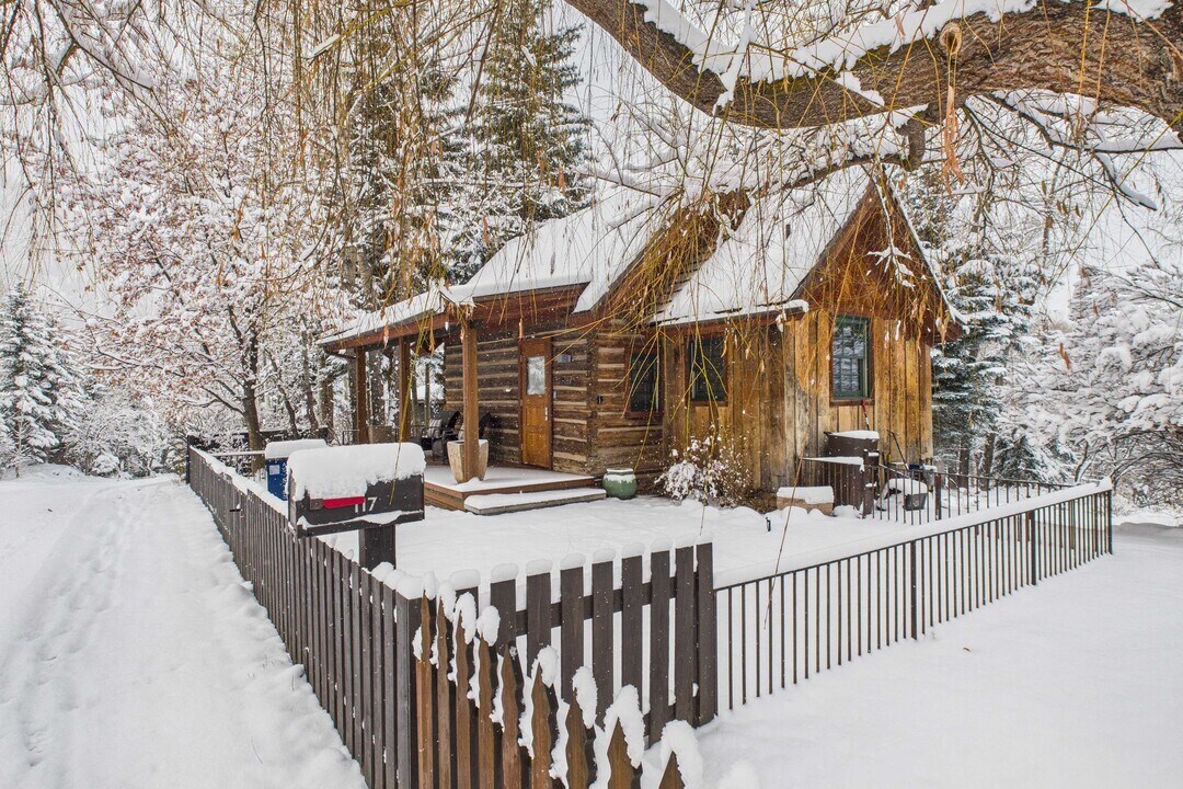 117 Neale Ave in Aspen, CO - Building Photo