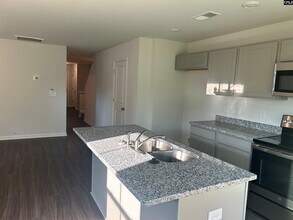 509 Kingfisher Ct in Lexington, SC - Building Photo - Building Photo