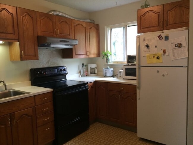 170 E Hadley Rd in Amherst, MA - Building Photo - Building Photo
