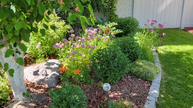 807 Whisper Cove Rd in Sandy, UT - Building Photo - Building Photo