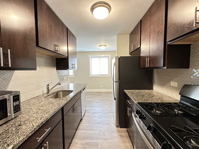 533 W Surf St in Chicago, IL - Building Photo - Building Photo
