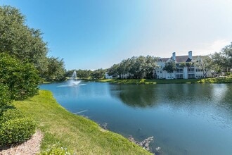 3310 Haviland Ct in Palm Harbor, FL - Building Photo - Building Photo