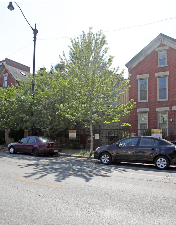 1938 Halsted St in Chicago, IL - Building Photo