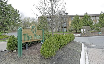 The Pines