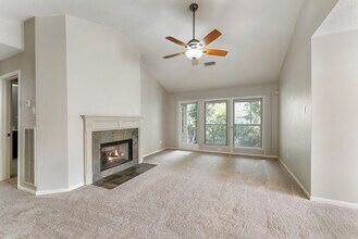 17 N Spiral Vine Cir in Spring, TX - Building Photo - Building Photo