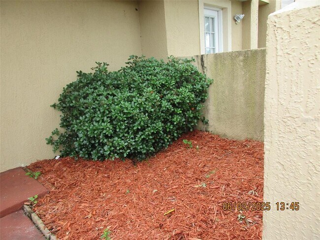 3243 Sandy Shore Ln in Kissimmee, FL - Building Photo - Building Photo