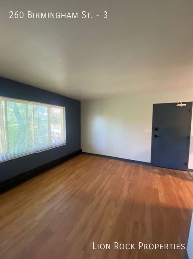 260 Birmingham St in St. Paul, MN - Building Photo - Building Photo