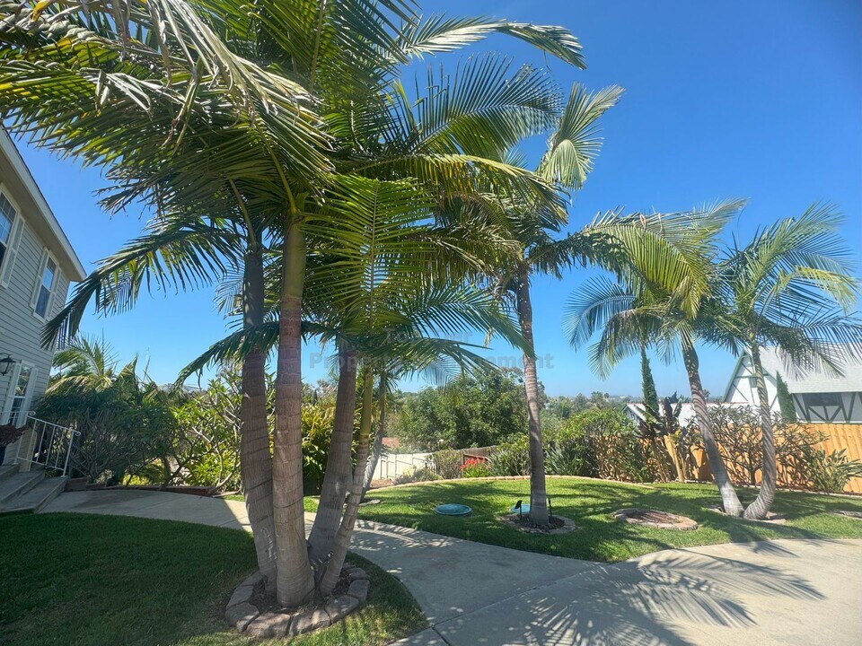 2005 Odyssey Dr in Vista, CA - Building Photo