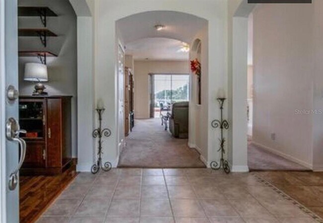 18116 Heron Walk Dr in Tampa, FL - Building Photo - Building Photo