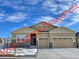 8975 Backgammon Dr in Colorado Springs, CO - Building Photo