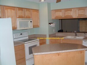 3664 Montclair Dr in Palm Harbor, FL - Building Photo - Building Photo