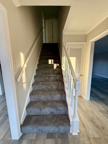 346 N Birchwood Dr in Hendersonville, TN - Building Photo - Building Photo