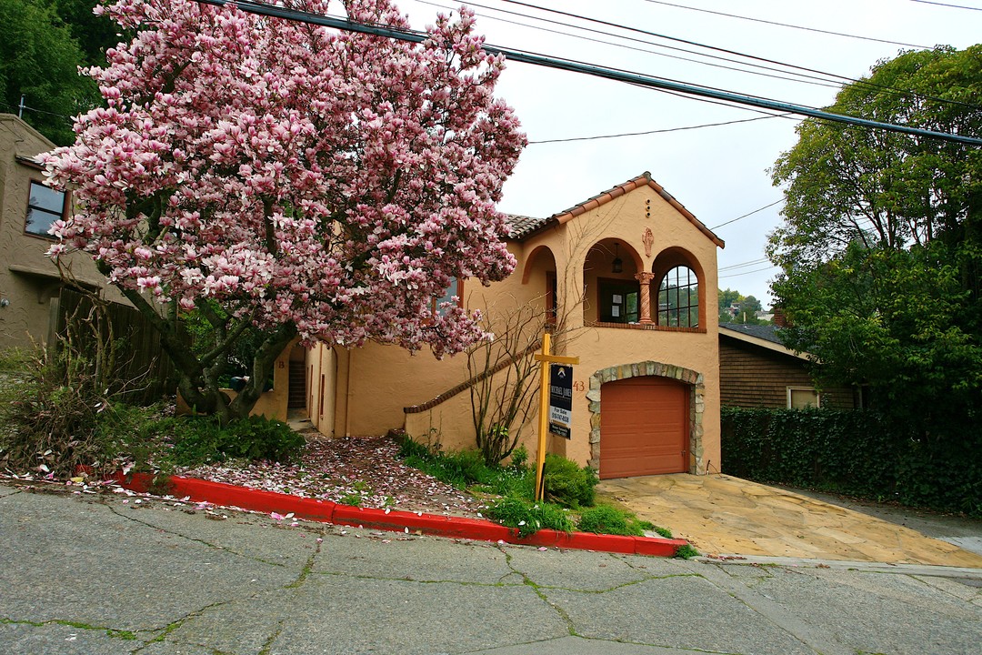 43 Marquard Ave in San Rafael, CA - Building Photo