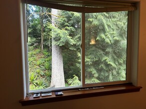 3 N Summit Dr in Bellingham, WA - Building Photo - Building Photo